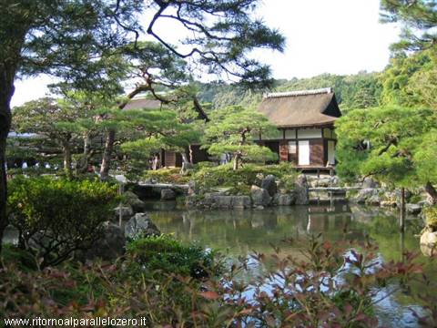 Immersed in greenery