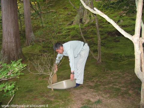 Obsessive care for the greenery