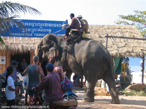 The circus