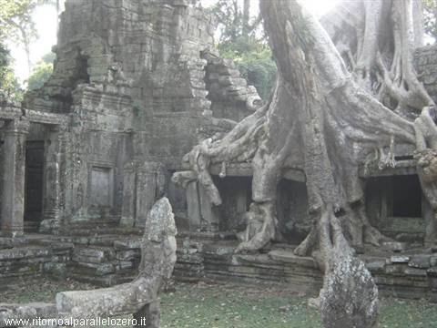 Nature takes over human works