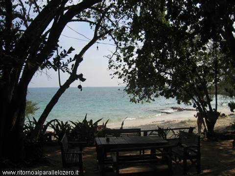 View from the bungalow