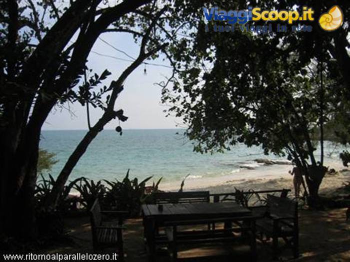 View from the bungalow