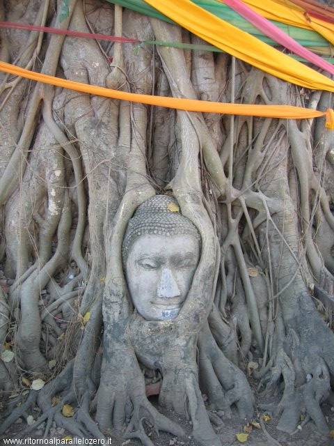 Ayutthaya: the historical part of the city