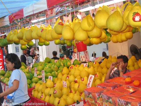 Juicy and giant grapefruits