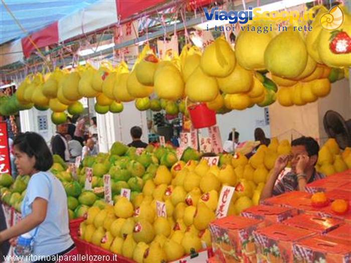 Juicy and giant grapefruits