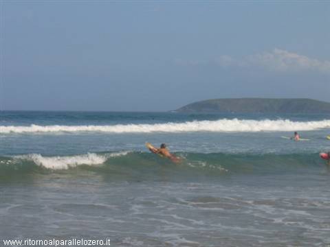On the crest of the wave