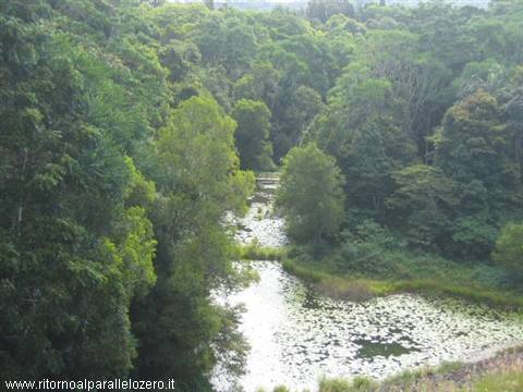 The 'green' Nimbin