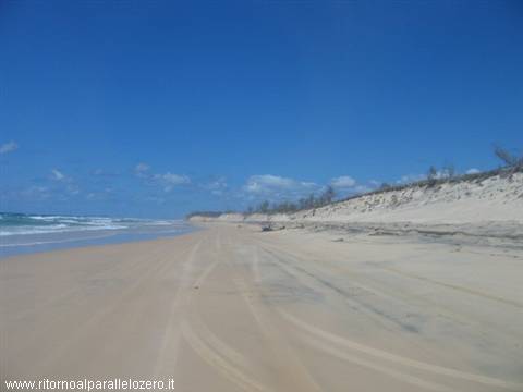 Wild sand