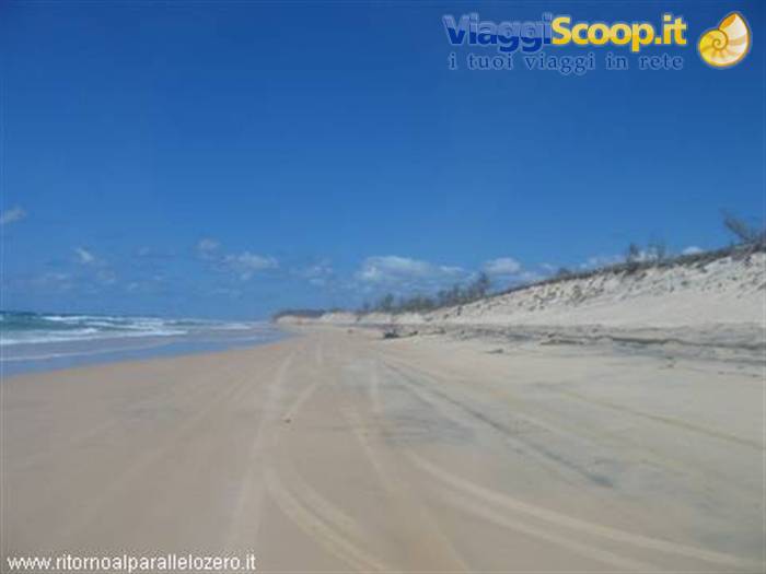 Wild sand