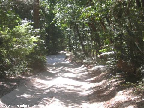 Poisonous trails