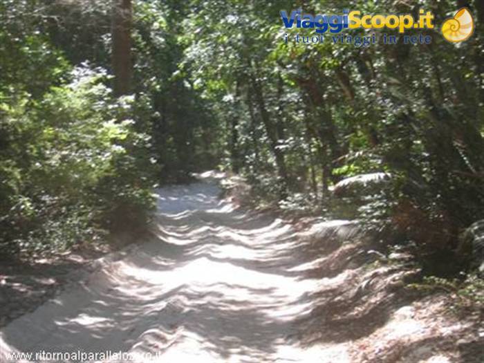 Poisonous trails