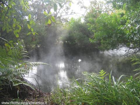 Steam in Rotorua