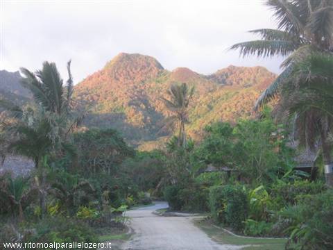Wild island