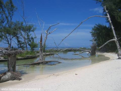 Little beach in the Motu