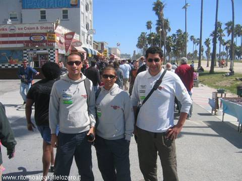Pampas in Venice Beach