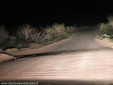 Track in the desert