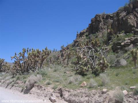 Desert