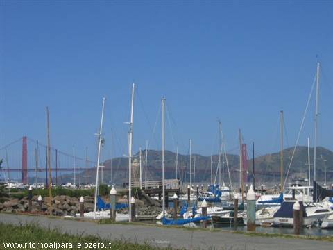 Sailboats in the harbour