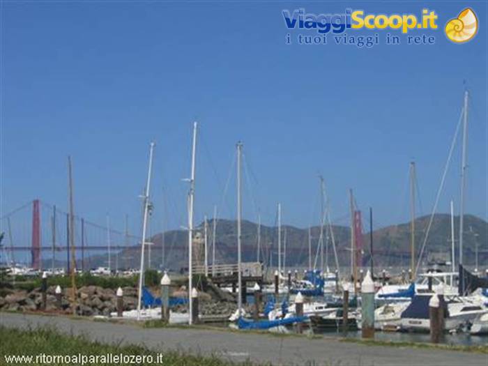Sailboats in the harbour