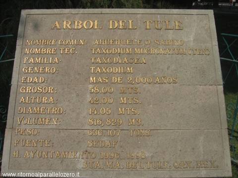 Technical data