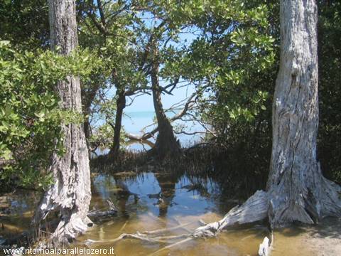 Glimpse of lagoon