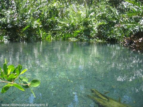 Fresh water in the salty water
