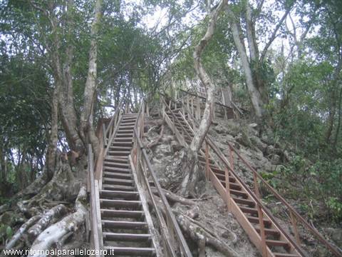 Climb to the temple
