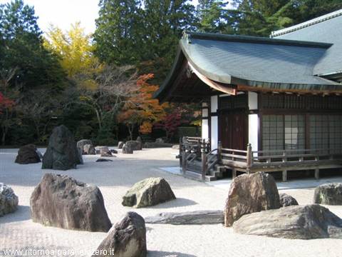 The garden