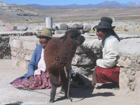 Dancing with the llamas