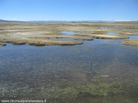 A lagoon in the desert
