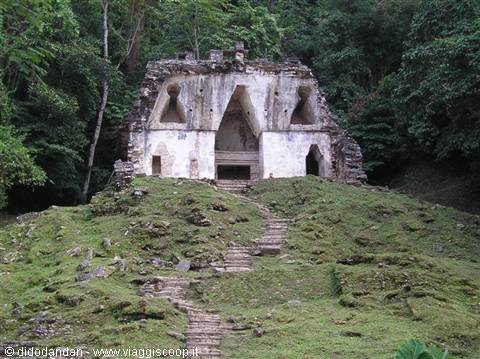 Maya stone temple with arched doorways, grassy steps and jungle, Palenque
