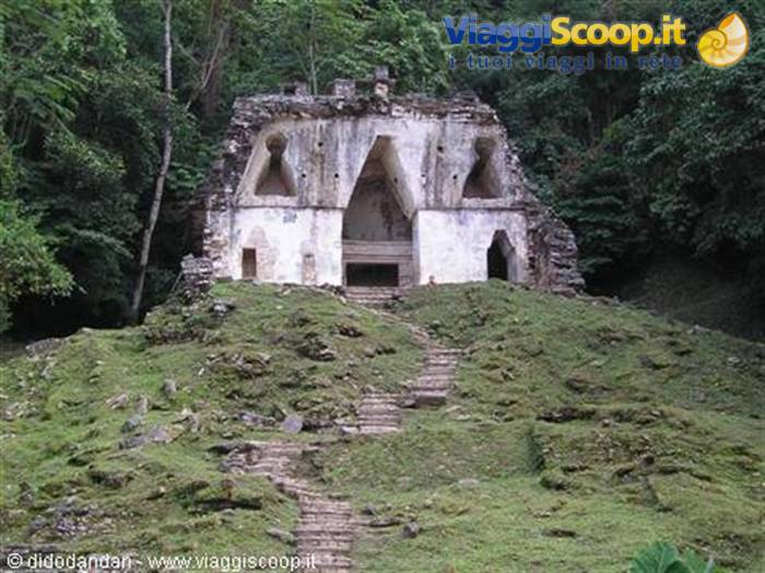 Maya stone temple with arched doorways, grassy steps and jungle, Palenque