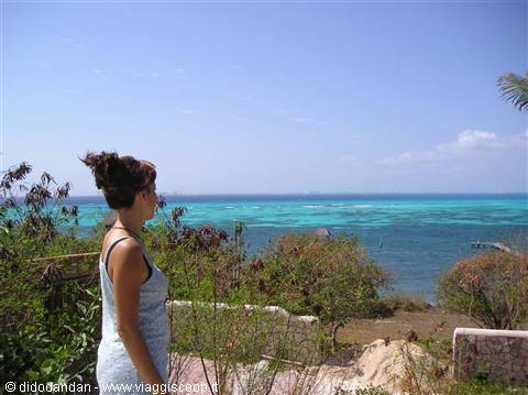 Woman among plants gazes at the turquoise lagoon sea