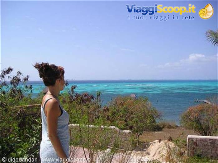 Woman among plants gazes at the turquoise lagoon sea