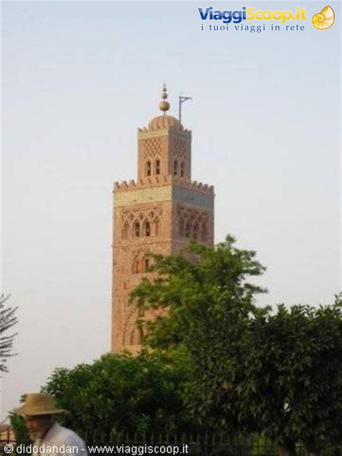 The pink stone minaret of the Koutoubia rises above Marrakech trees