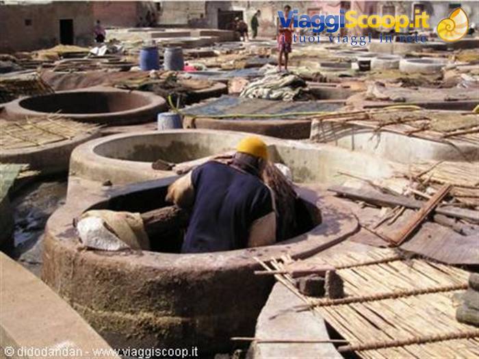 Worker tending stone tanning vats at the chouara tanneries, hides in daylight