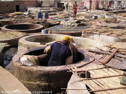 Tanner working inside stone vats at the Chouara tanneries in Fez