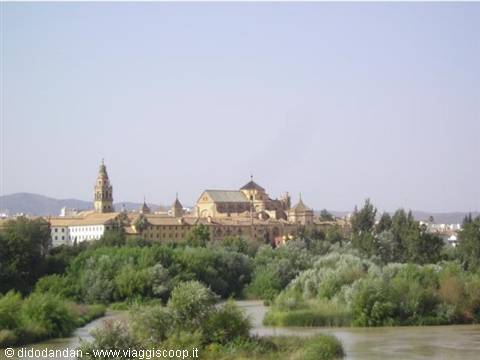 The Mezquita of Cordoba behind green trees and the river