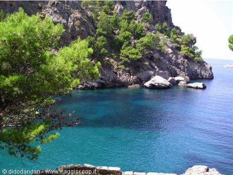 Turquoise water between rocky cliffs and green pines at Sa Calobra, Mallorca