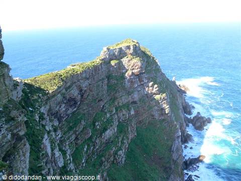 Cape Point, green sandstone cliffs plunge into the ocean with crashing foam