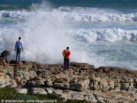 Two men on rocky shore watching crashing wave splash high