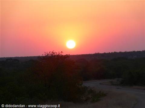 Low orange sun over savanna trees and a dirt road