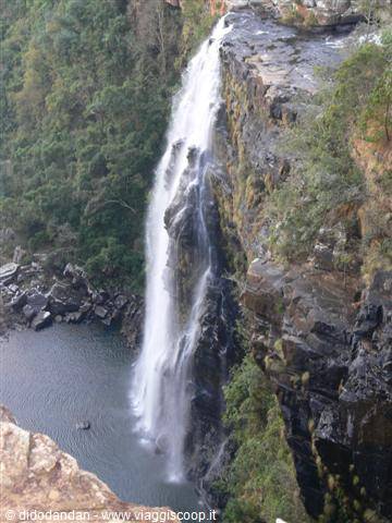 Waterfall plunging over dark rocky cliffs among lush green vegetation