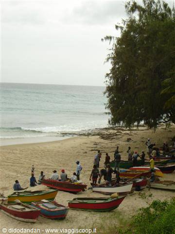 Fishermen and colorful wooden pirogues on Grand Baie beach, Mauritius