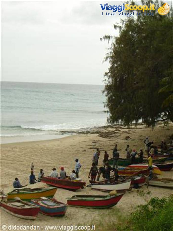 Fishermen and colorful wooden pirogues on Grand Baie beach, Mauritius