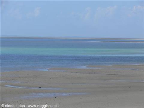 Wide sandy beach at low tide with turquoise shallow water under blue sky