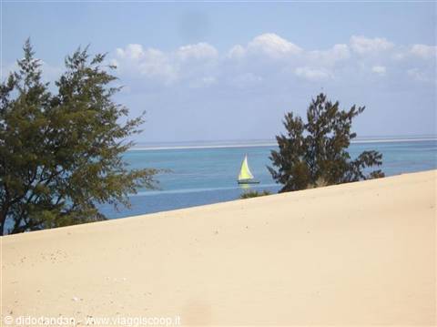 White sailboat on turquoise sea between trees and sandy dune