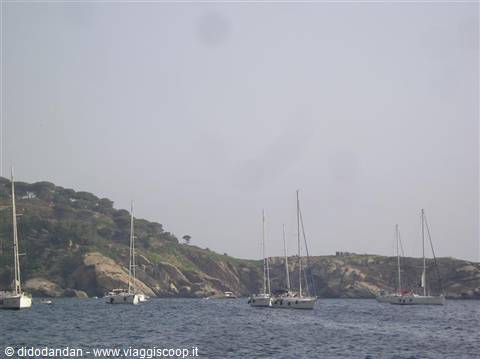 Sailboats anchored in front of Caprera's rocky green coastline