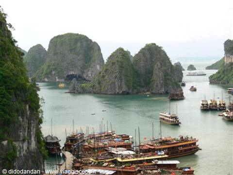 Wooden boats moored in Ha Long Bay among limestone cliffs covered with vegetation