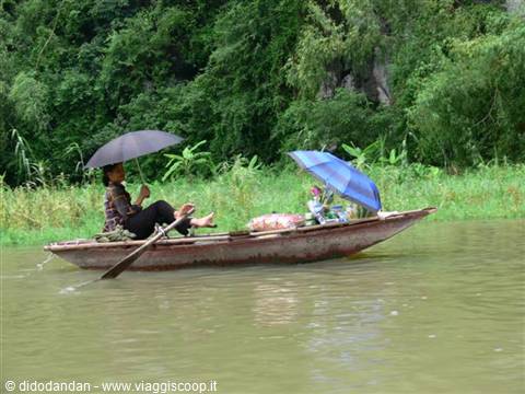 Woman rowing a wooden boat under an umbrella on green river, Tam Coc